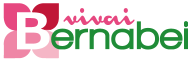 BERNABEIVIVAI_Logo_New_Light@2x